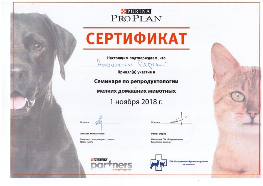 Документ или сертификат