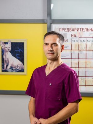 Фото врача Красильников Сергей Юрьевич