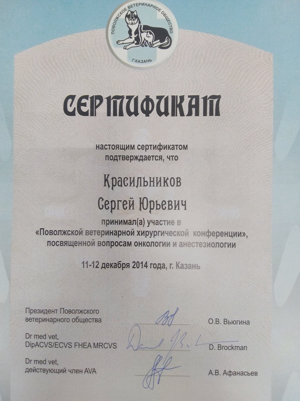 Документ или сертификат