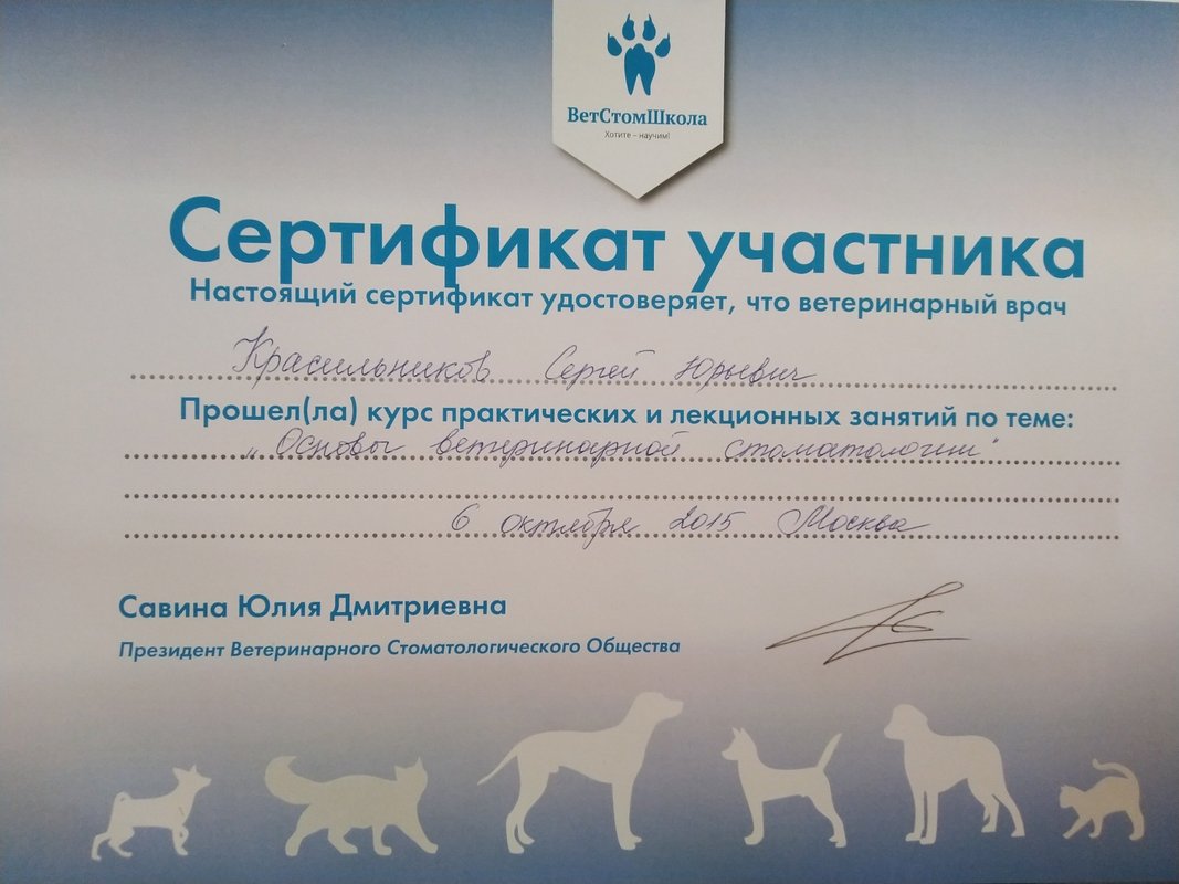 Документ или сертификат