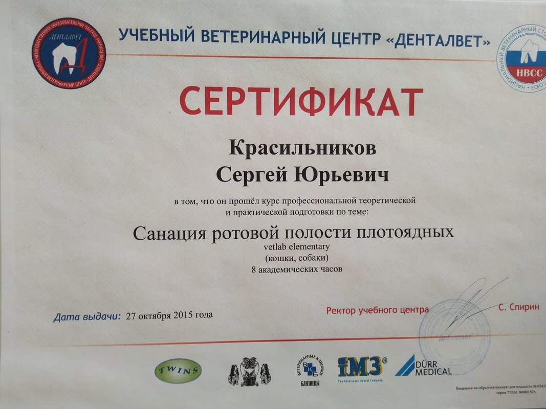 Документ или сертификат