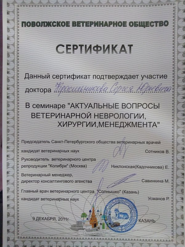 Документ или сертификат