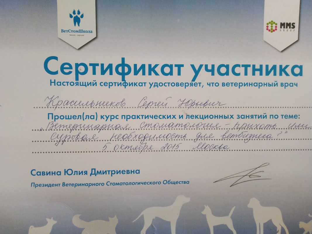 Документ или сертификат
