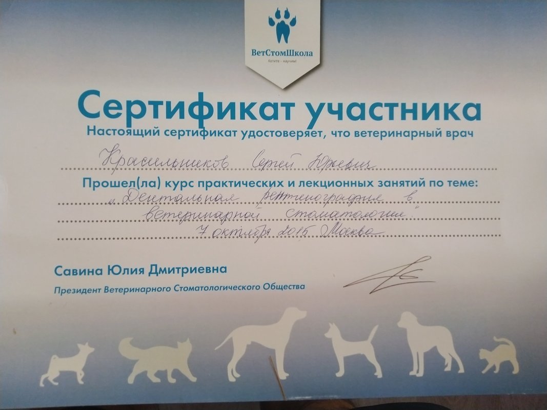 Документ или сертификат