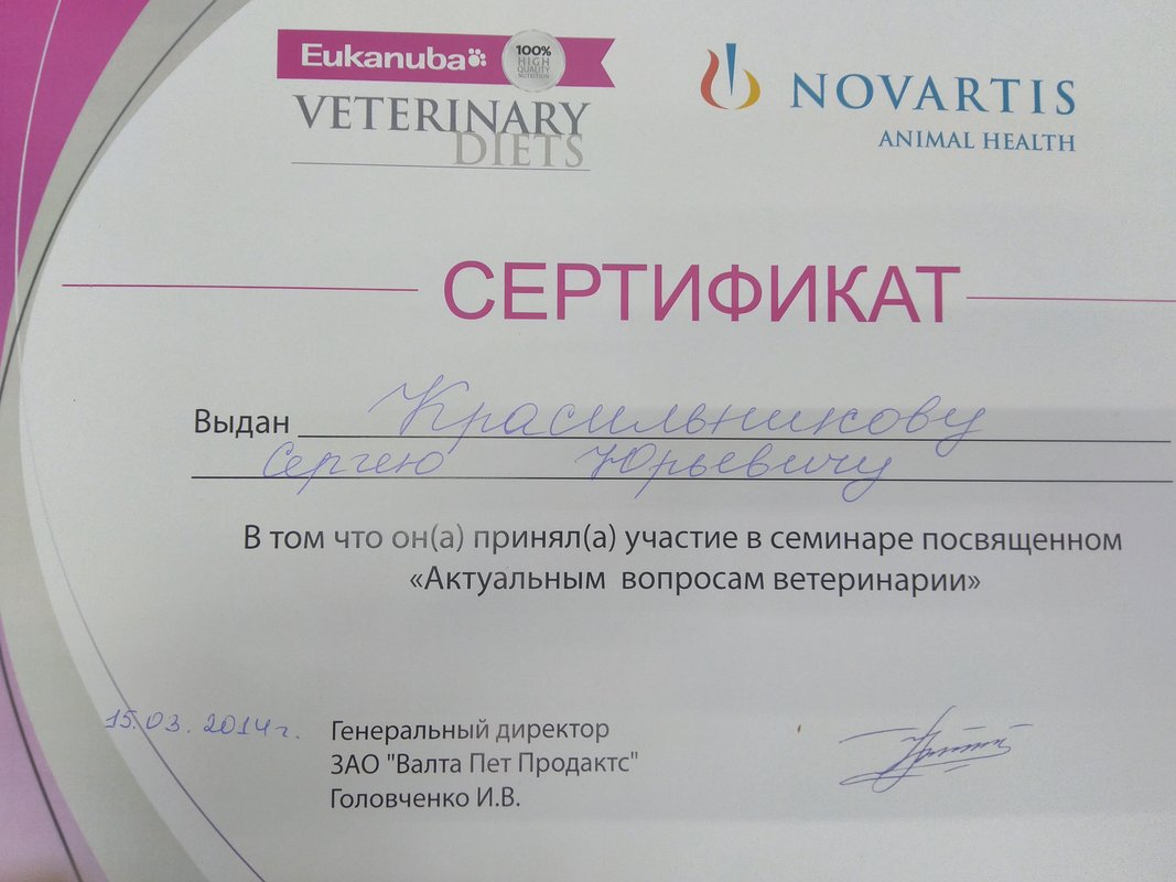 Документ или сертификат