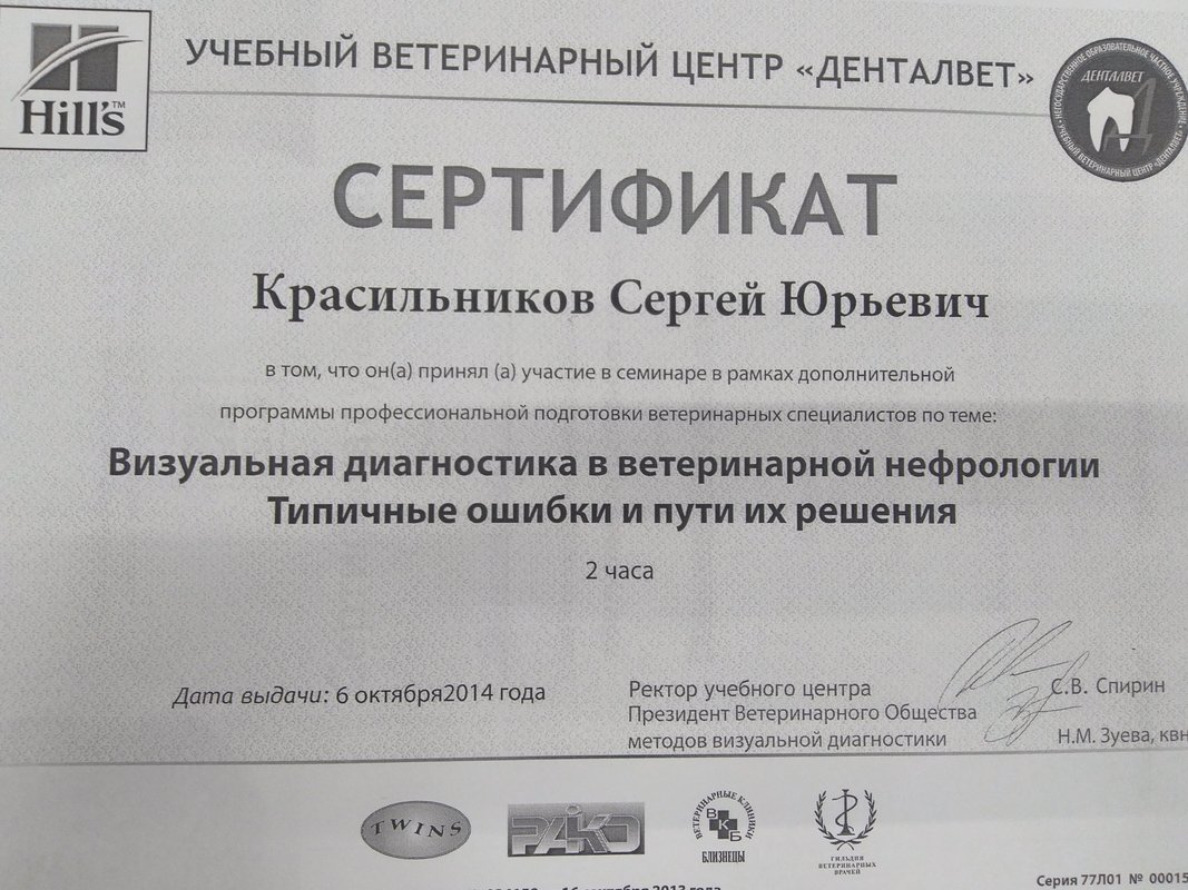 Документ или сертификат
