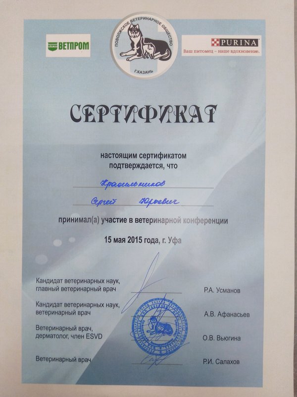 Документ или сертификат