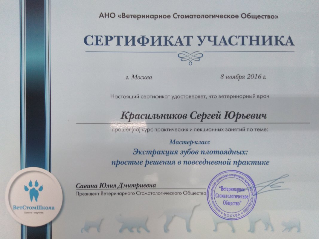Документ или сертификат
