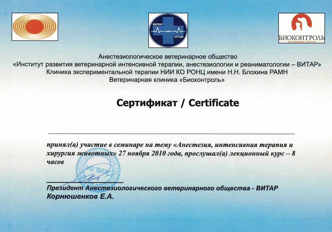Документ или сертификат