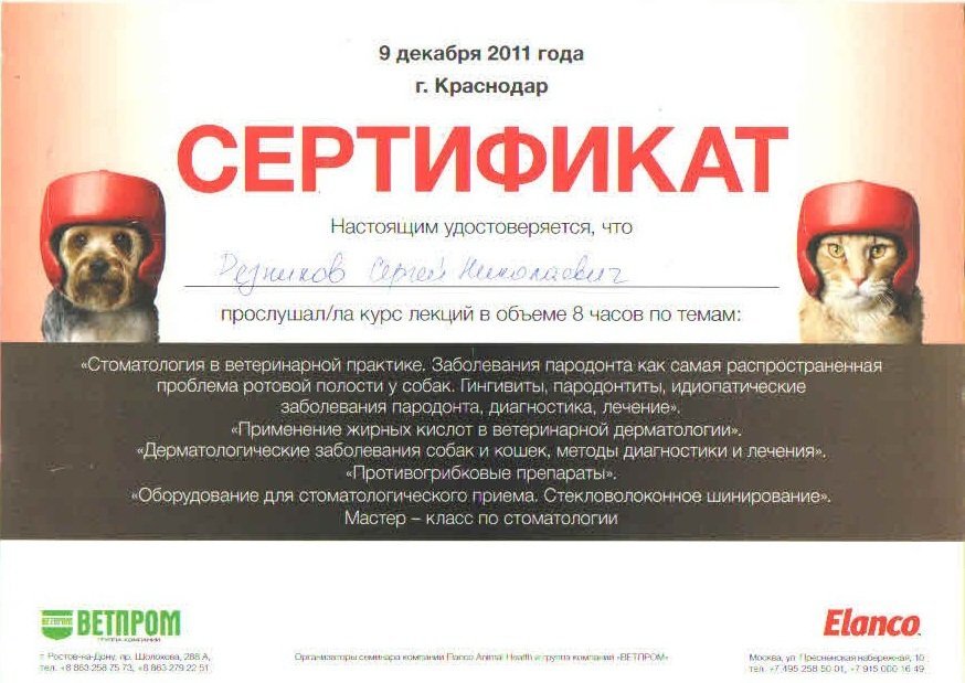 Документ или сертификат