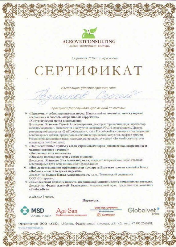 Документ или сертификат