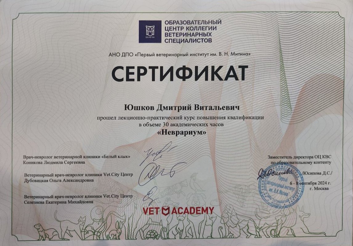 Документ или сертификат