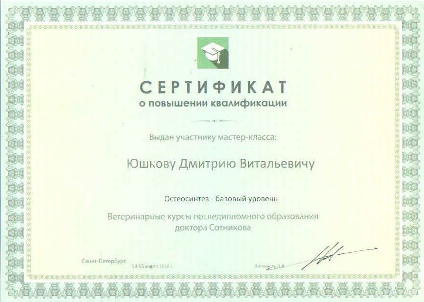 Документ или сертификат