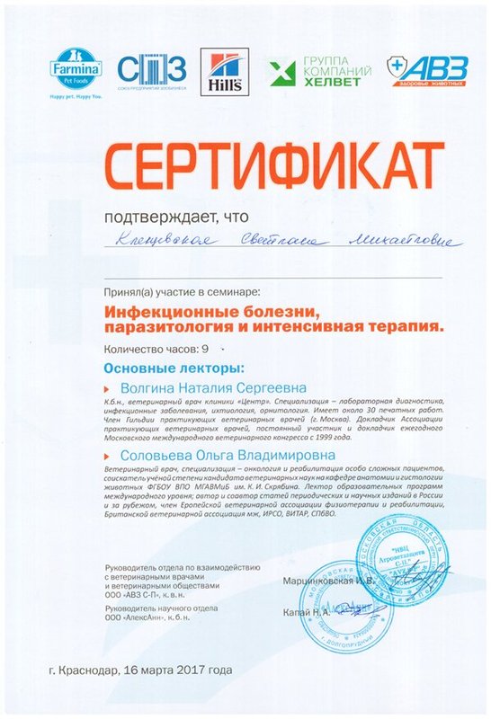 Документ или сертификат