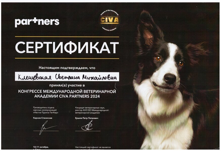 Документ или сертификат
