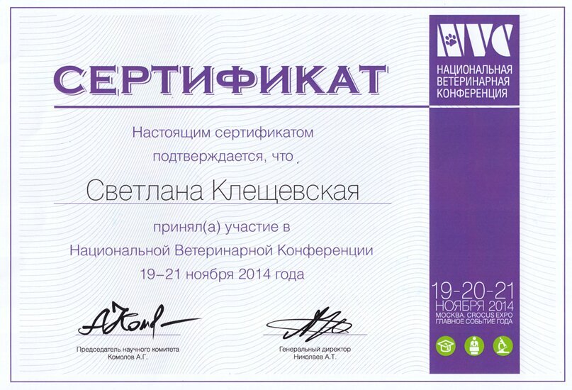 Документ или сертификат
