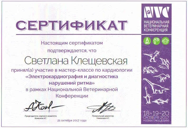 Документ или сертификат