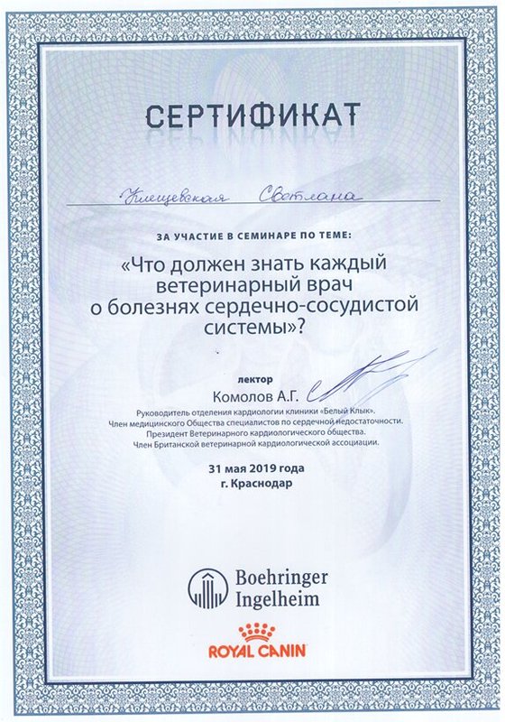 Документ или сертификат