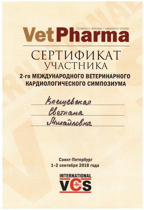 Документ или сертификат