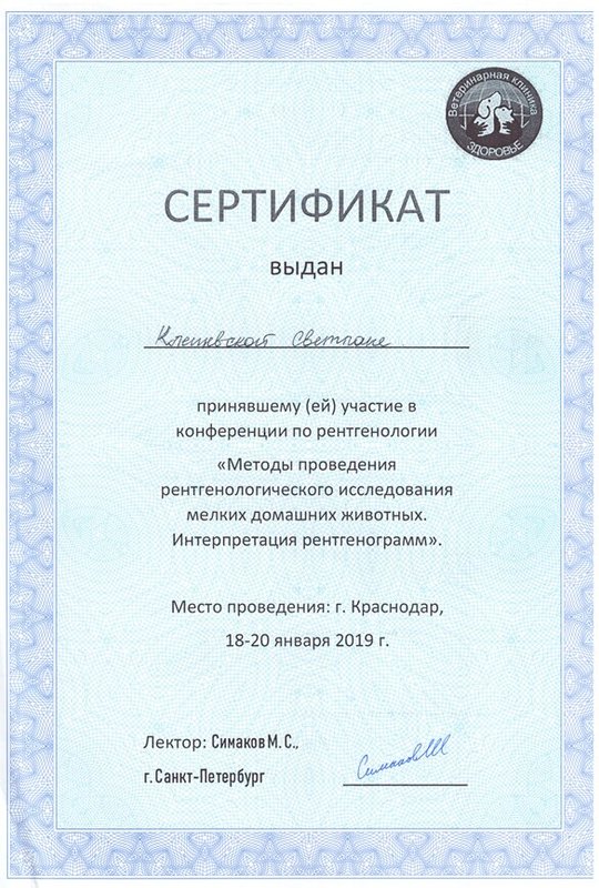 Документ или сертификат