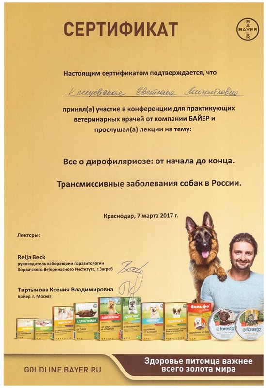 Документ или сертификат