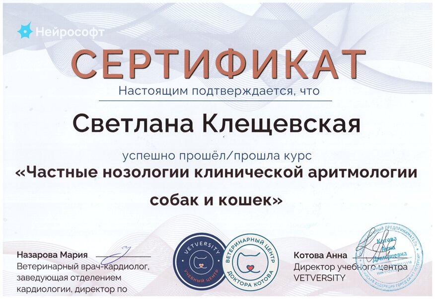 Документ или сертификат