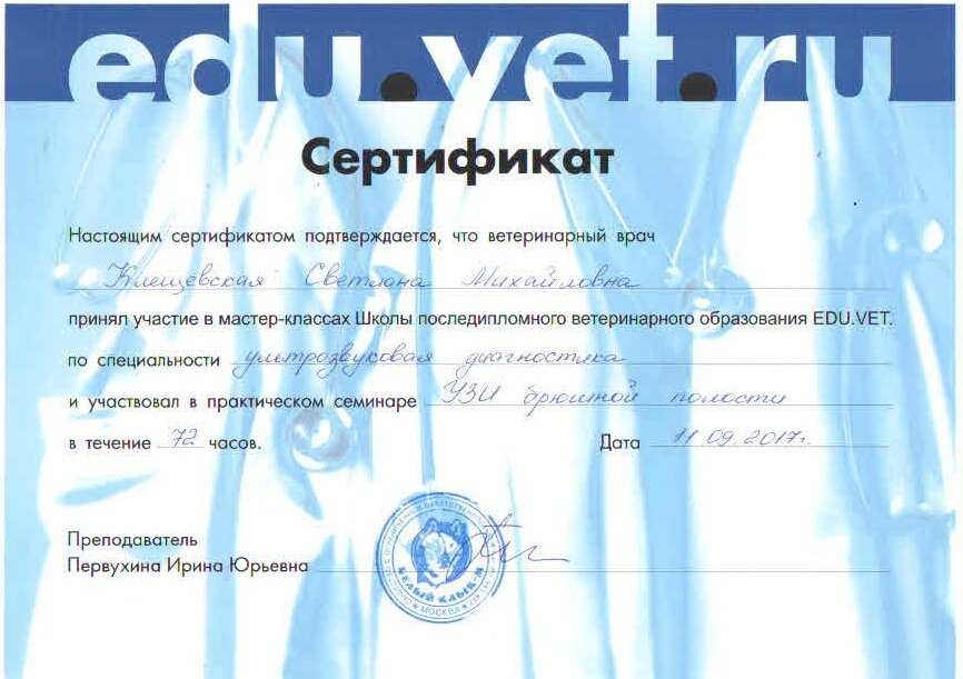 Документ или сертификат