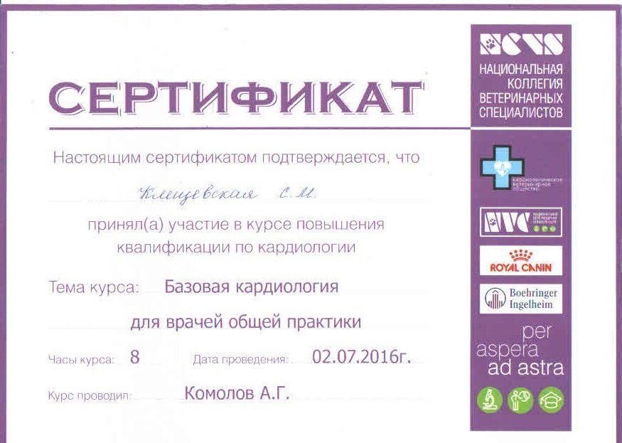 Документ или сертификат