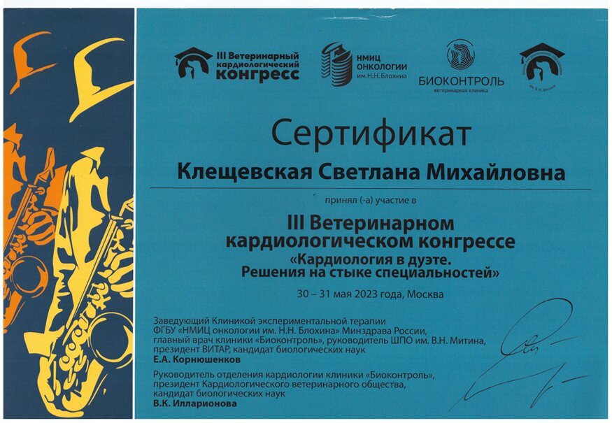Документ или сертификат