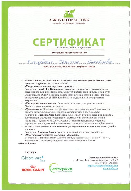 Документ или сертификат