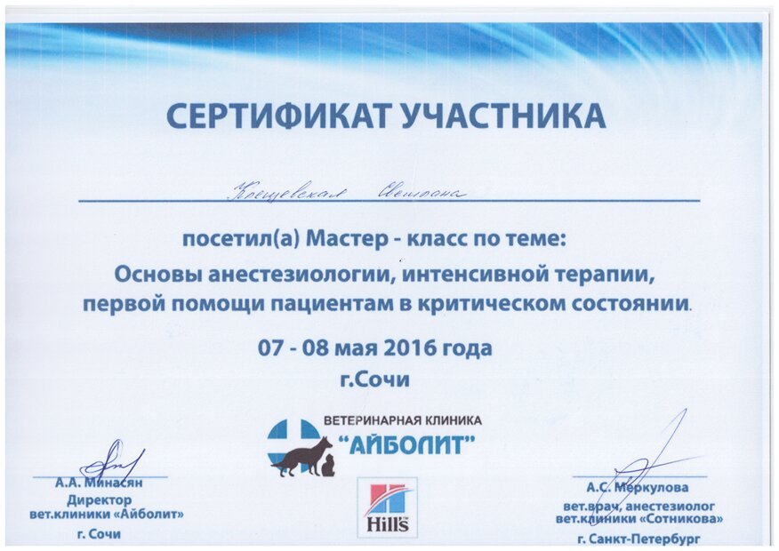 Документ или сертификат