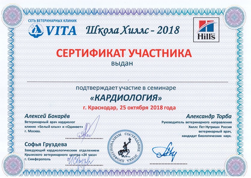 Документ или сертификат