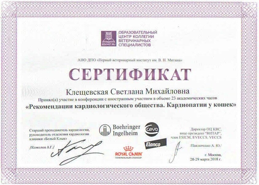 Документ или сертификат