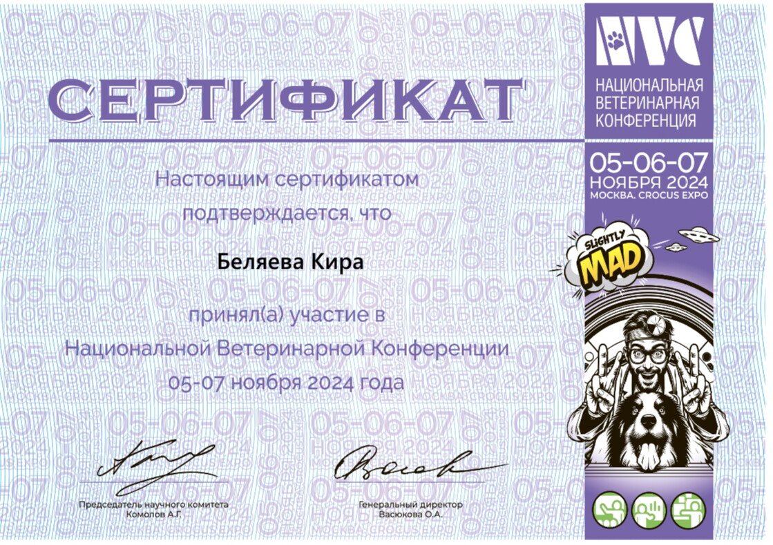 Документ или сертификат