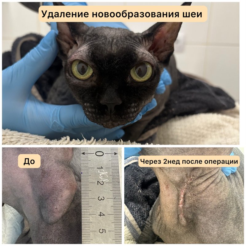 Фото врача
