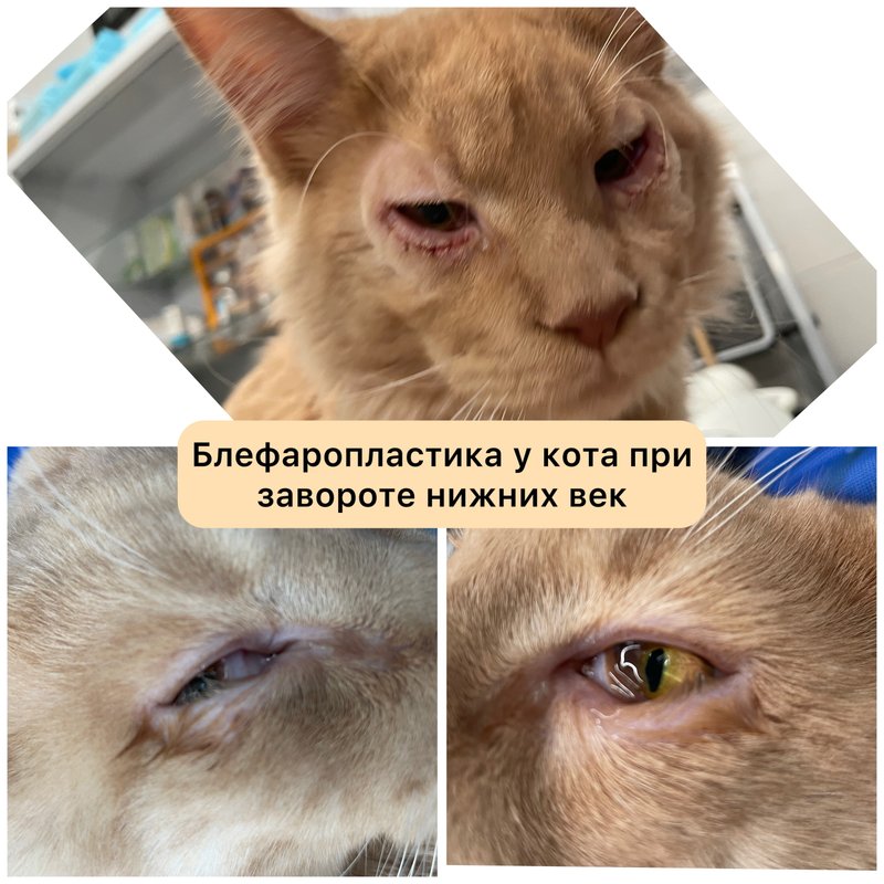 Фото врача
