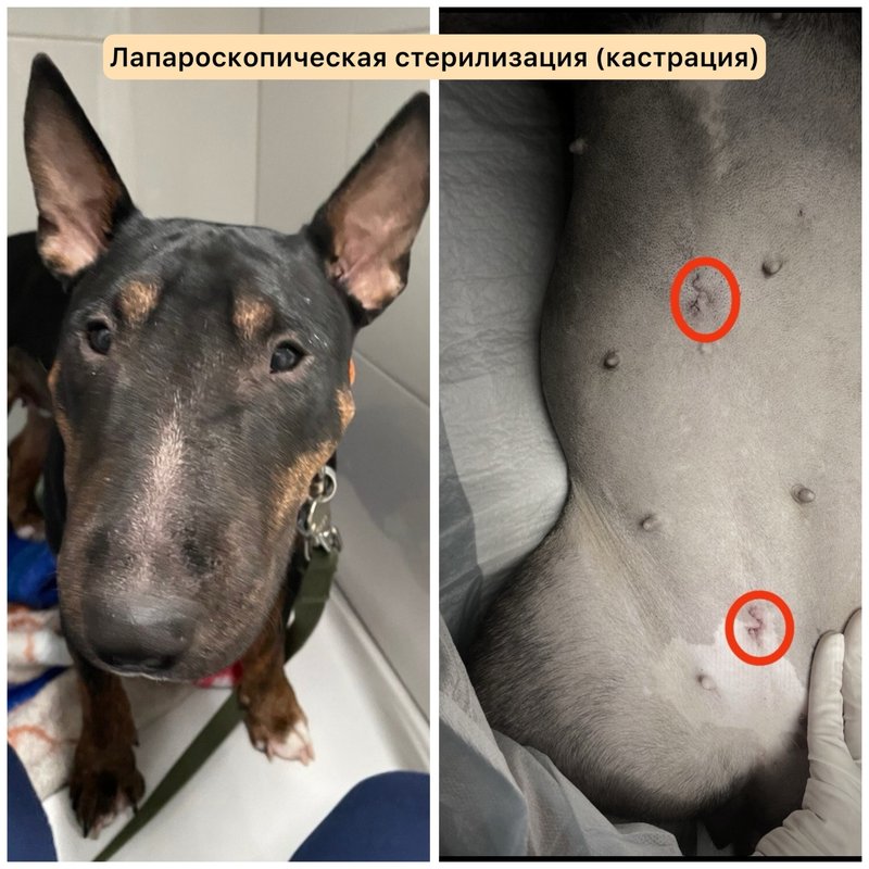 Фото врача