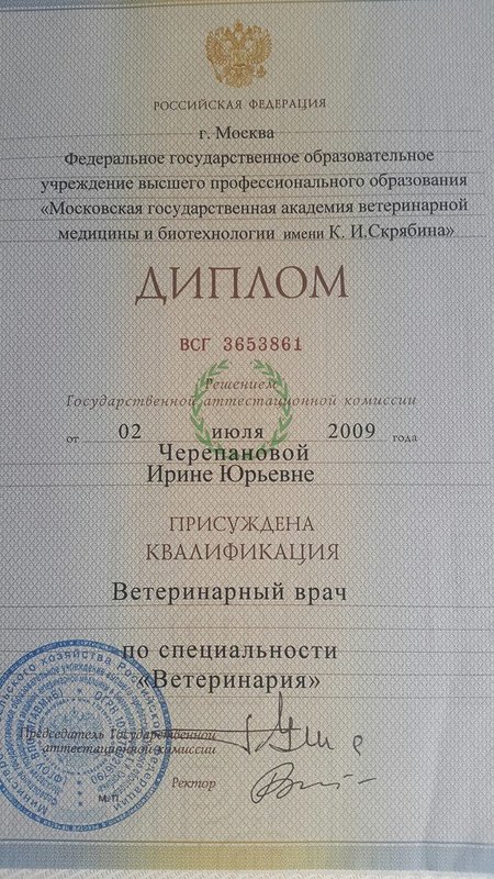Документ или сертификат