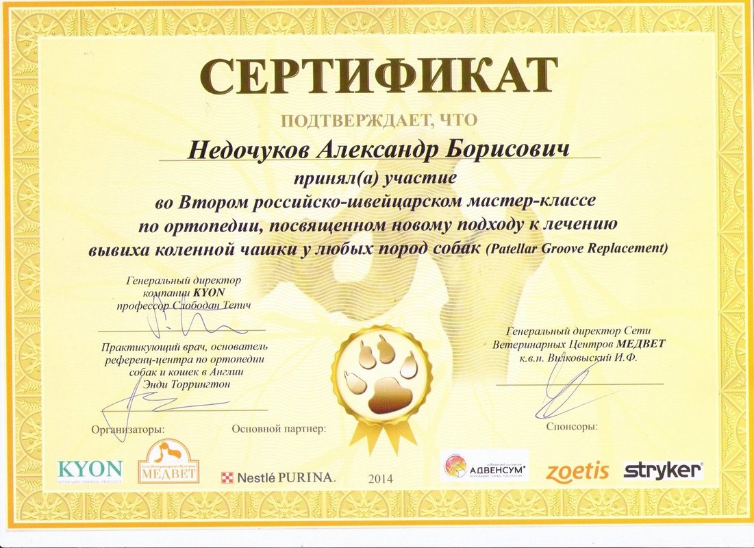 Документ или сертификат