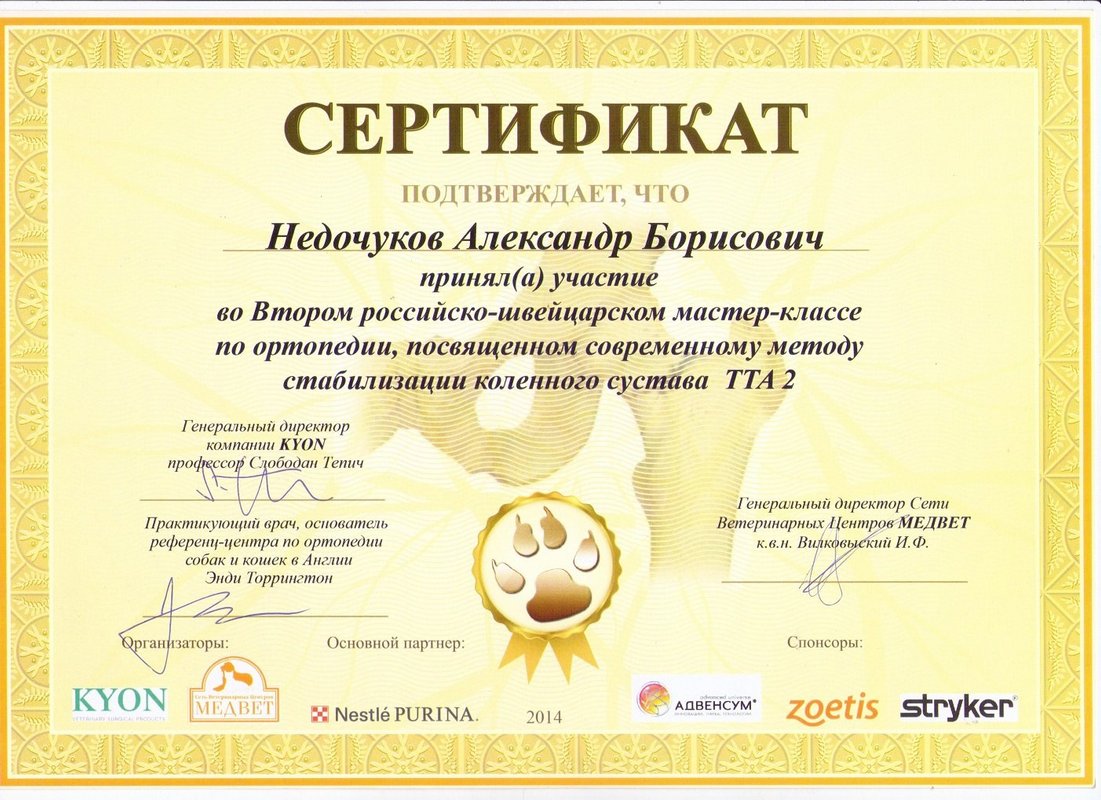 Документ или сертификат