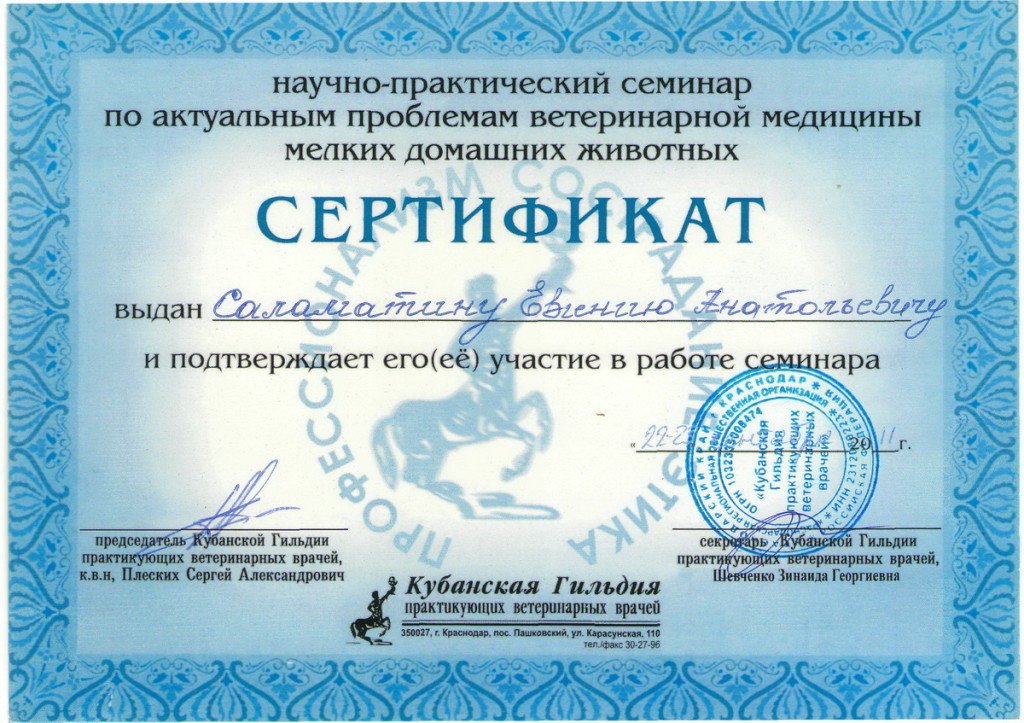 Документ или сертификат