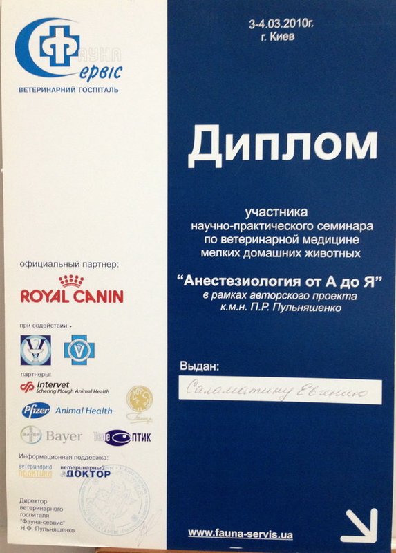 Документ или сертификат