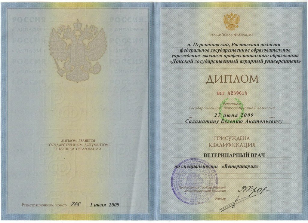 Документ или сертификат