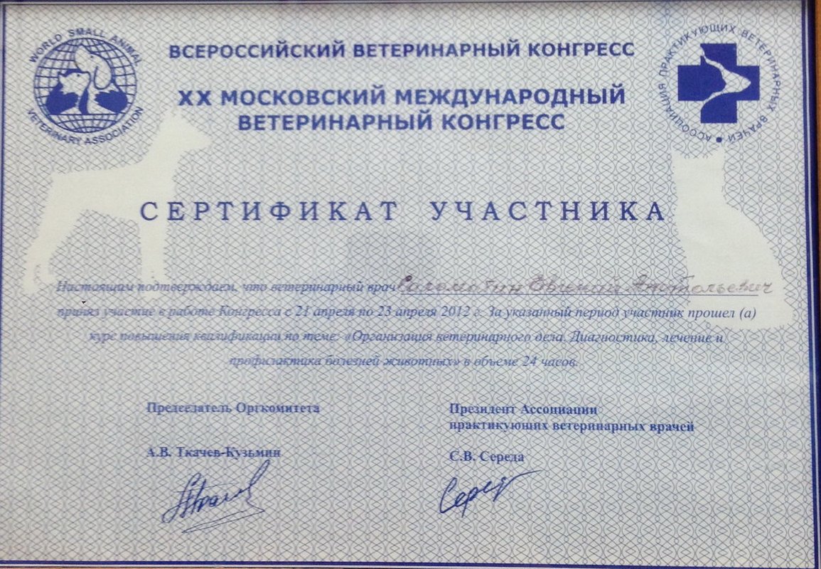 Документ или сертификат