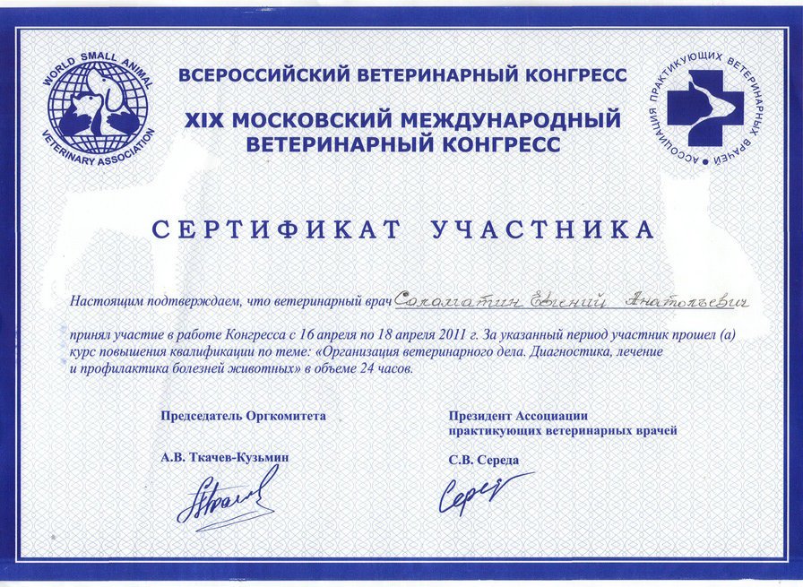 Документ или сертификат