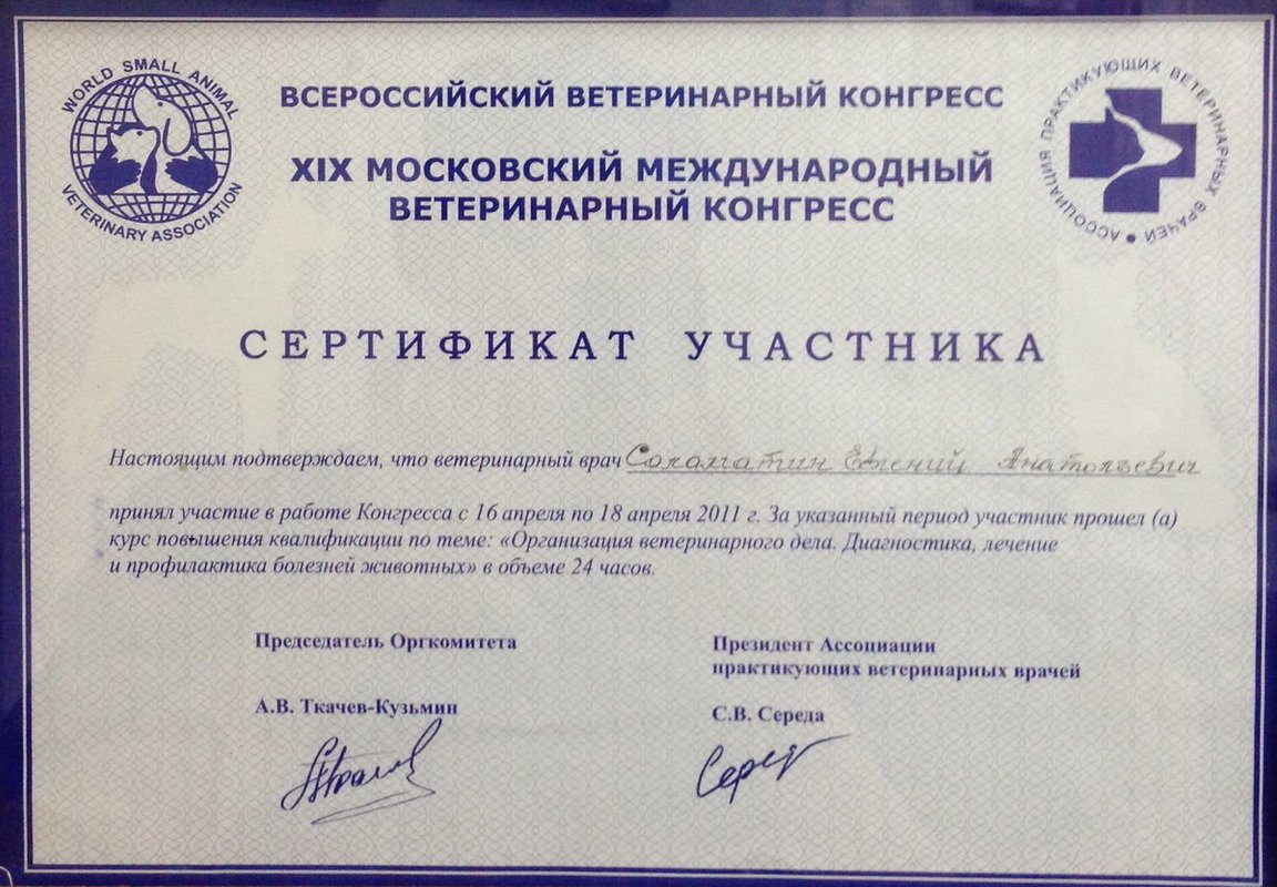 Документ или сертификат