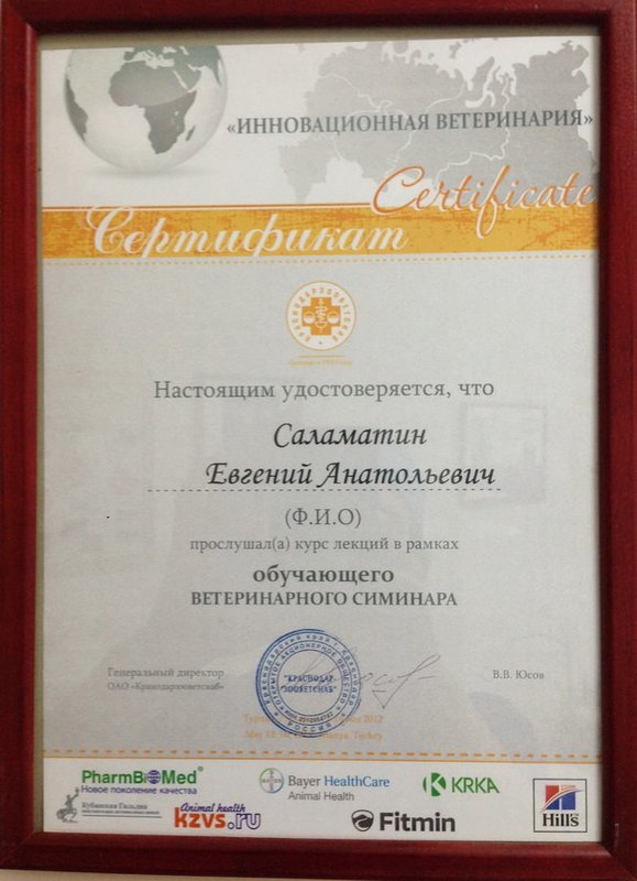 Документ или сертификат