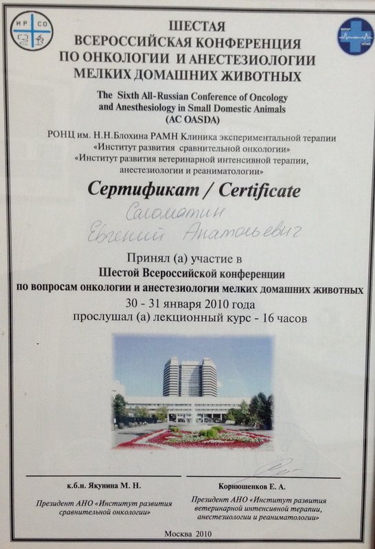 Документ или сертификат