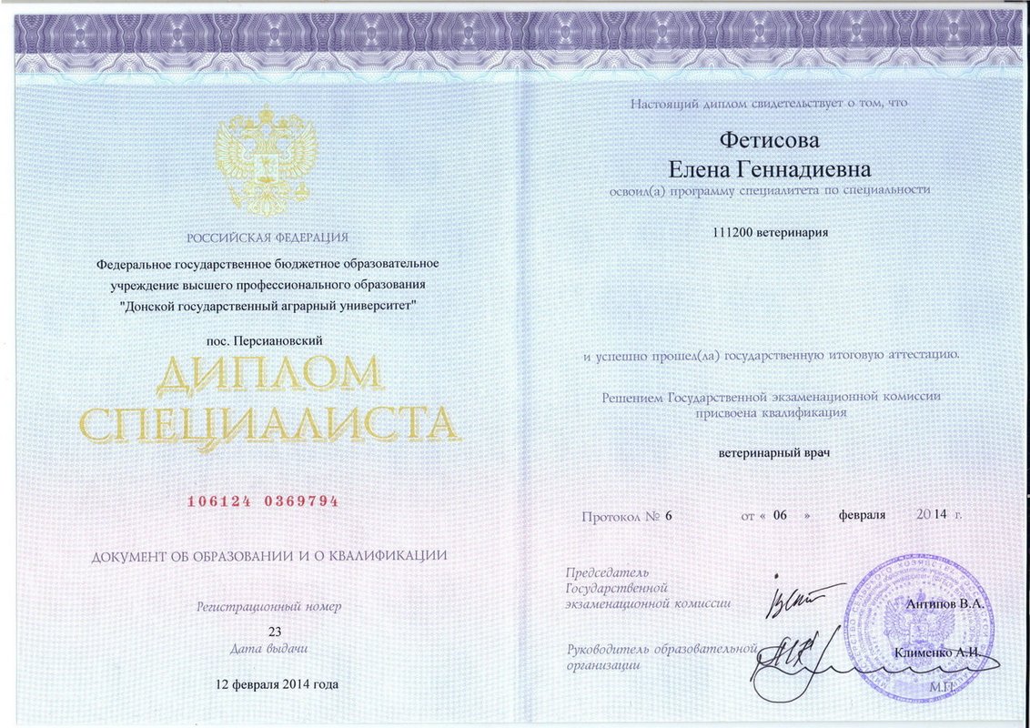 Документ или сертификат