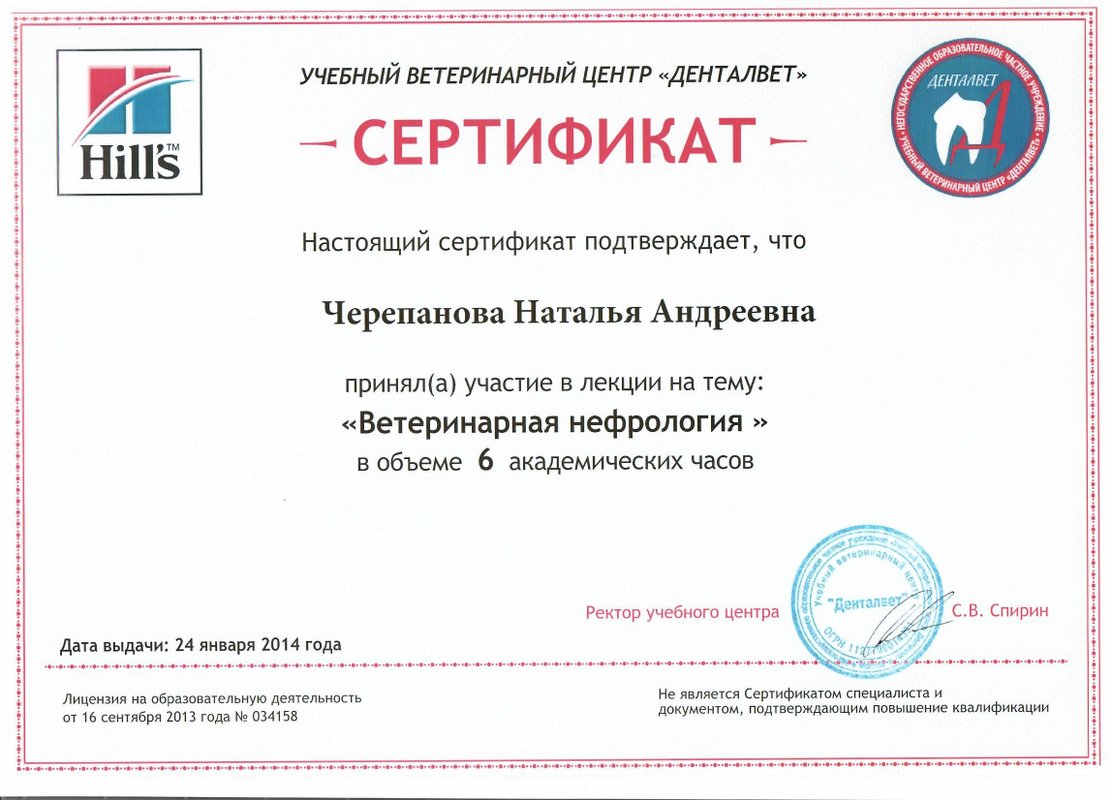 Документ или сертификат